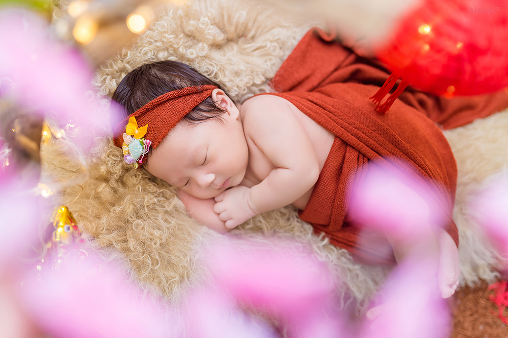 album ảnh newborn 14